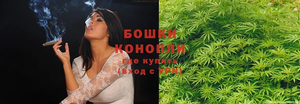 твердый Аркадак